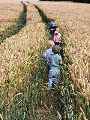 Spaziergang im Feld